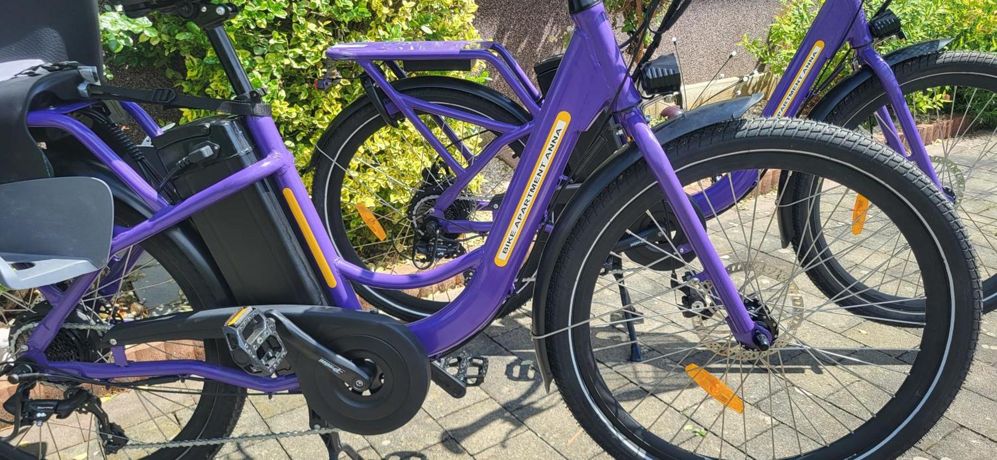 Zwei Schlafzimmer Ferienapartment Anna Am Stubenbergsee Inklusive Vier E-Bikes Bagian luar foto