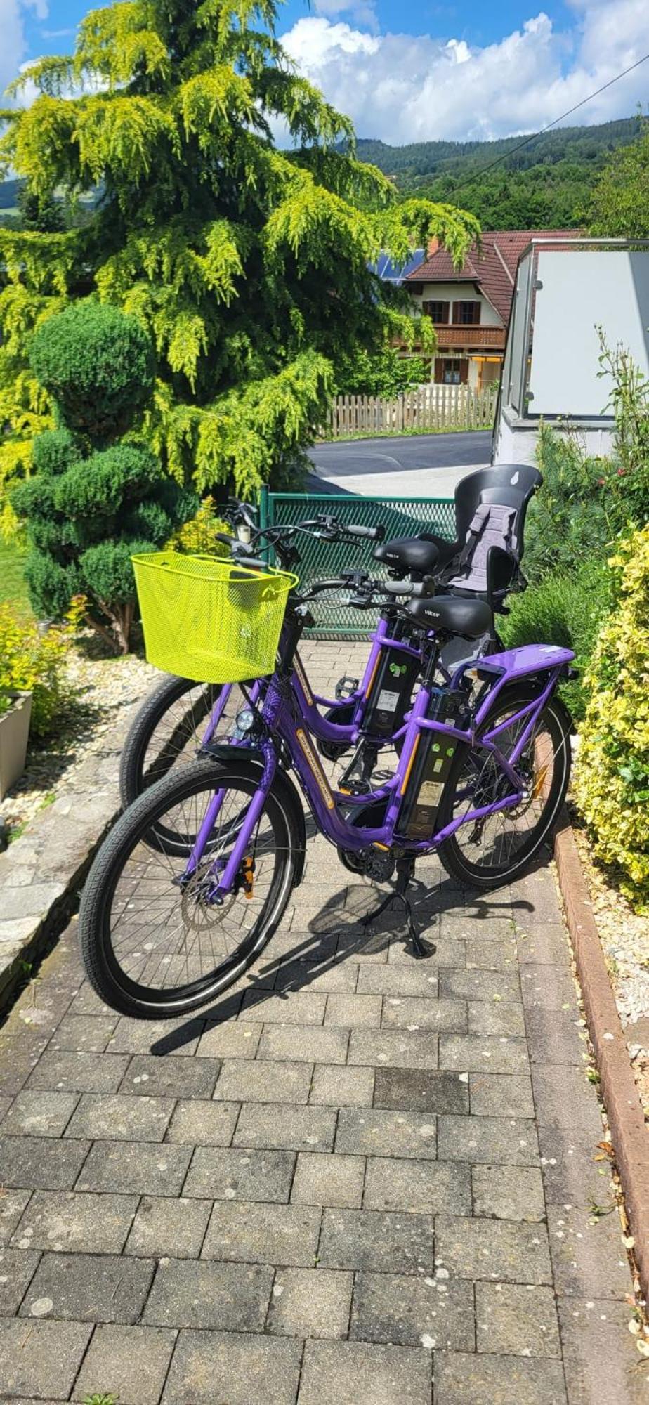 Zwei Schlafzimmer Ferienapartment Anna Am Stubenbergsee Inklusive Vier E-Bikes Bagian luar foto